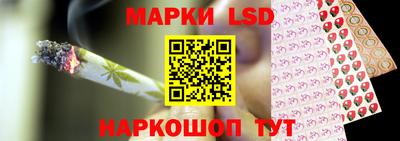 мдпв Донецк