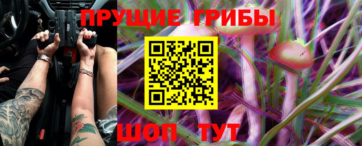 Псилоцибиновые грибы GOLDEN TEACHER  Псилоцибиновые грибы MAGIC MUSHROOMS  купить наркотик  Элиста  Вход с VPN 